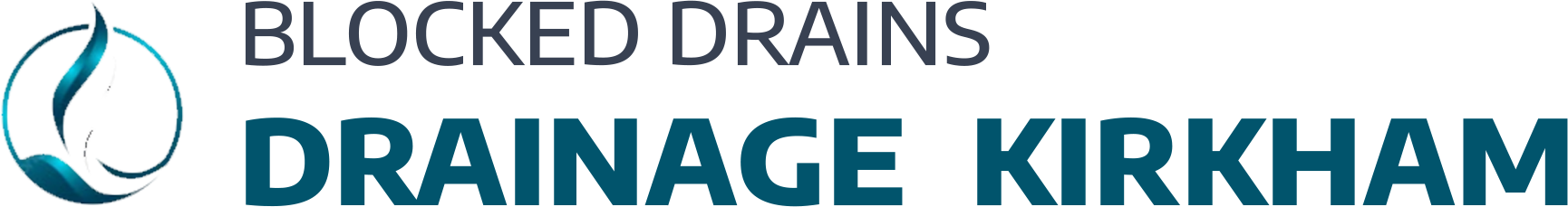 website logo